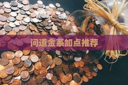 问道金系加点推荐