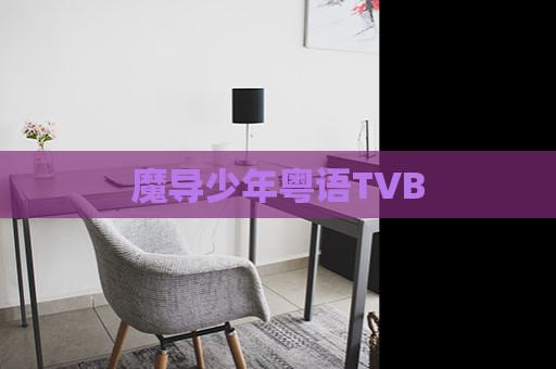 魔导少年粤语TVB