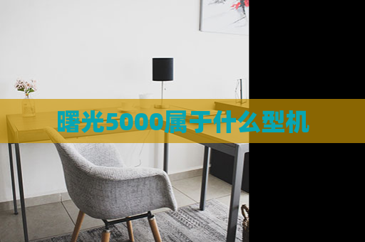 曙光5000属于什么型机